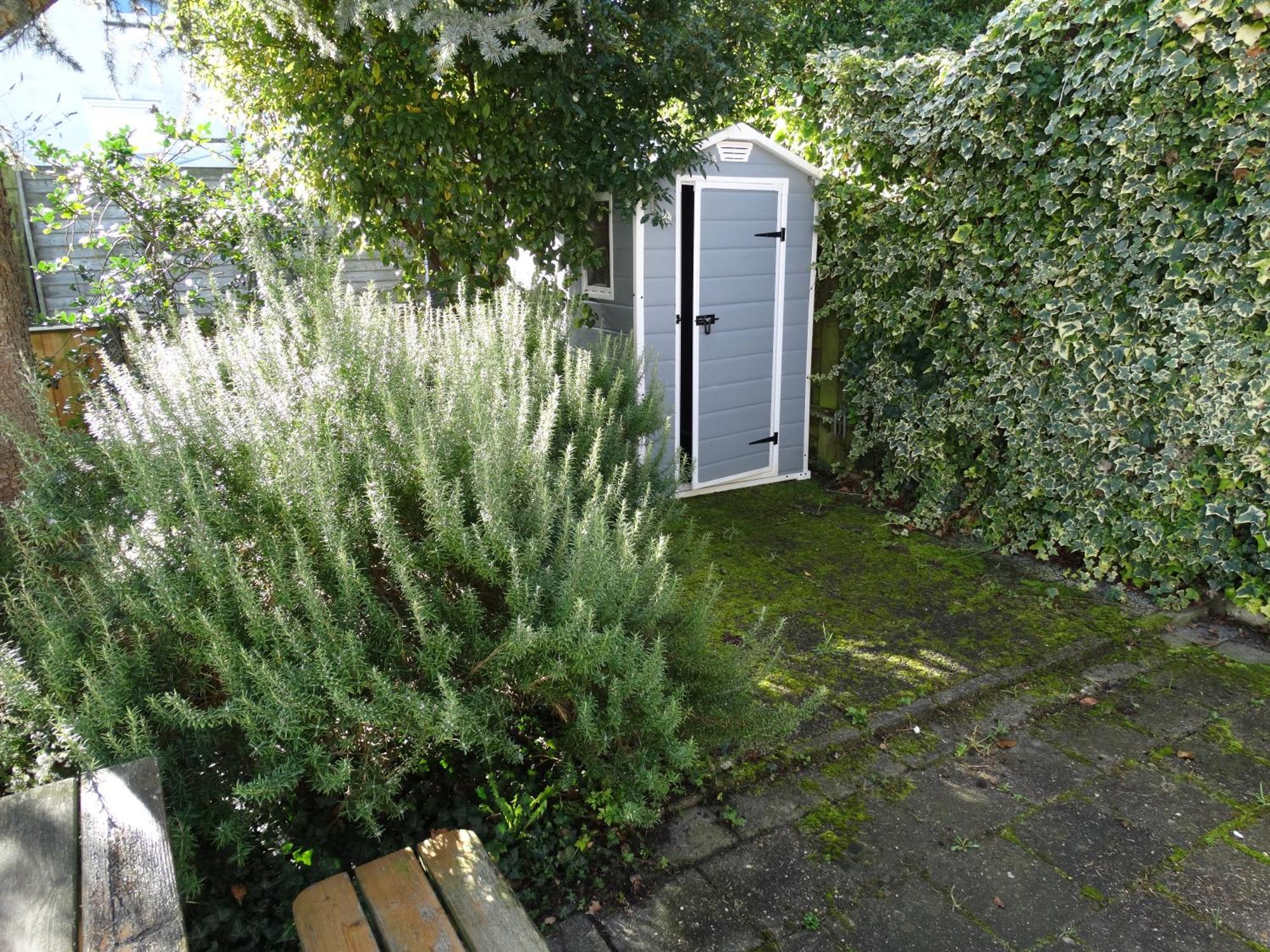 Vakantiehuis Buitengewoon Wissenkerke المظهر الخارجي الصورة